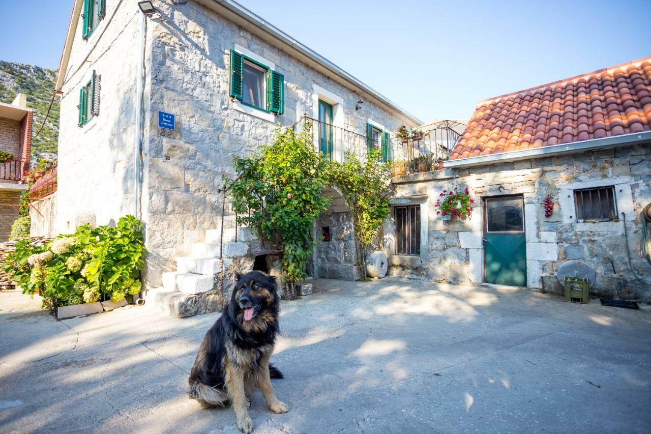 Apartmani Rebac Gata 외부 사진